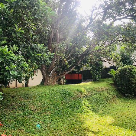 47 Alfred House - Free Pickup From Kandy City Eksteriør bilde